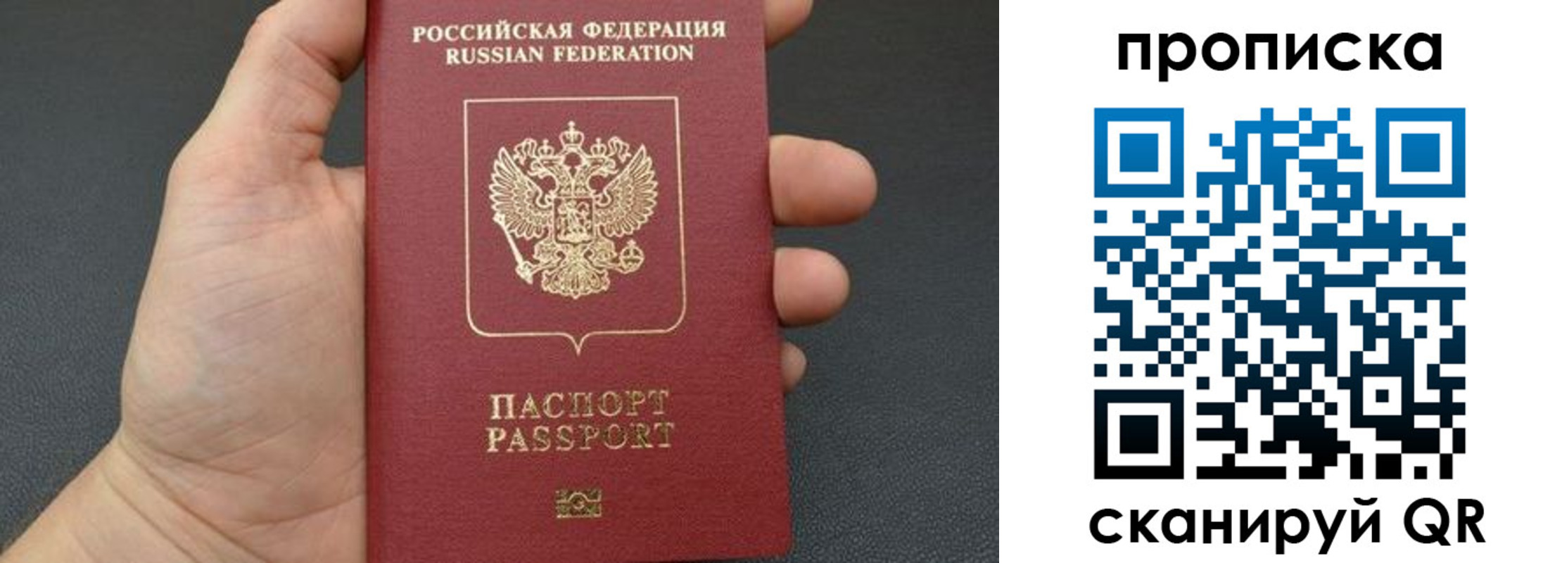 временная прописка в Полярных Зорях